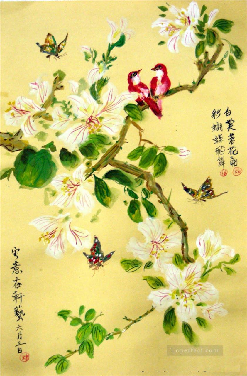 花 花 鳥 蝶 中国語油絵